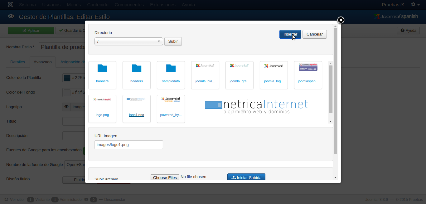 Insertar logotipo en joomla imágen 3